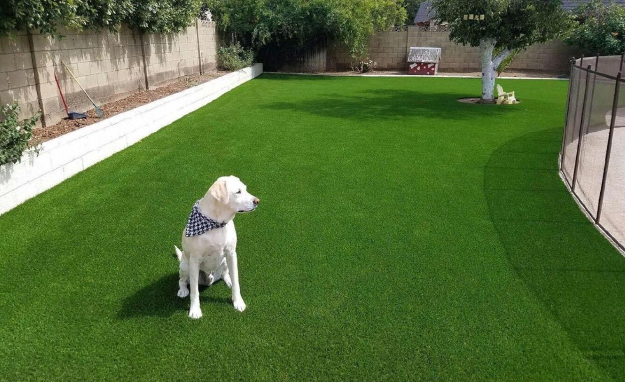 Pet-safe artificial grass with advanced drainage in Montgomery, AL
